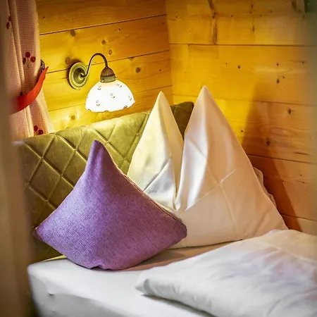 木屋 Almdorf Zillertal, 菲根